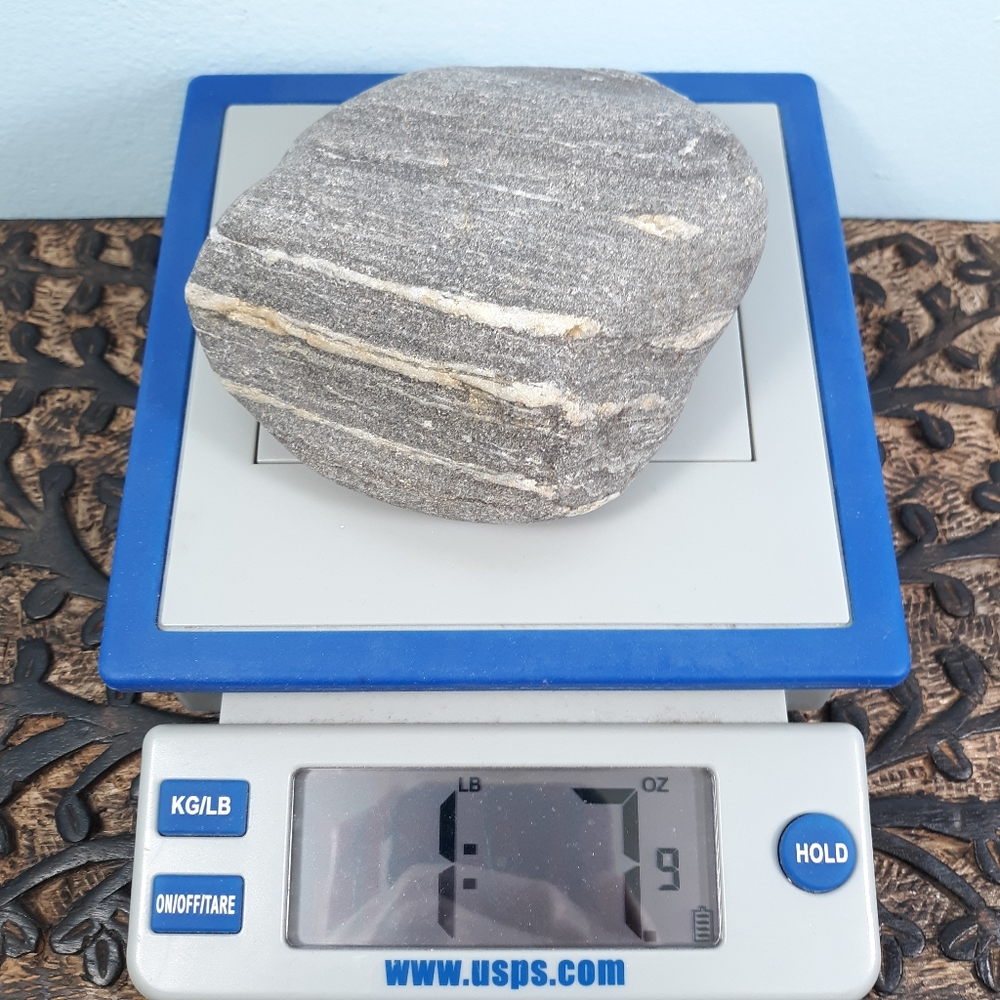 Banded Striped Stone East Coast Beach Rock Raw Rough Mineral Specimen Gray White
